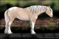 Horse Color:Silver Brown Ice Pearl Tobiano