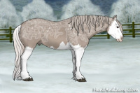 Horse Color:Silver Brown Ice Dun Splash 