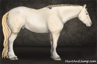 Horse Color:Buckskin Pearl 