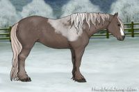 Horse Color:Silver Black 