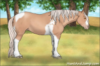 Horse Color:Silver Sable Champagne Tobiano