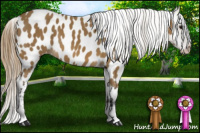 Horse Color:Buckskin Near Leopard 