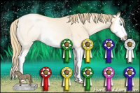 Horse Color:Smoky Grullo Pearl Splash 