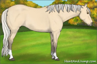 Horse Color:Silver Buckskin Dun Sabino Tobiano
