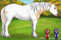 Horse Color:Palomino Roan Dun Splash Tobiano Frame 