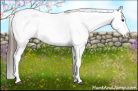Horse Color:Black Splash Appaloosa 