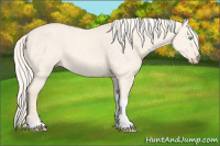 Horse Color:Cremello Dun Tobiano 