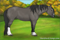 Horse Color:Grullo Sabino Tobiano 