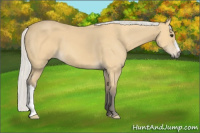 Horse Color:Silver Buckskin 