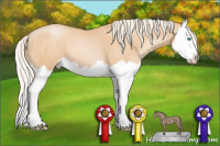 Horse Color:Chocolate Palomino Pearl Splash 