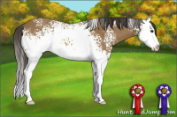 Horse Color:White Spotted Buckskin Splash 