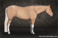 Horse Color:Silver Sable Champagne 