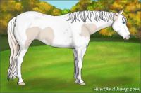 Horse Color:Smoky Creme Splash Tobiano 