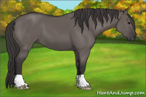 Horse Color: Smoky Grullo 