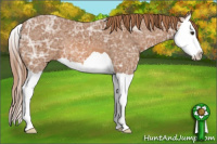Horse Color:Chestnut Ice Splash 