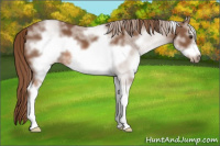 Horse Color:White Spotted Liver Chestnut Frame