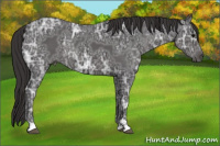 Horse Color:Smoky Black Ice Sabino