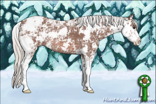 Horse Color: Silver Bay Ice Sabino Rabicano 