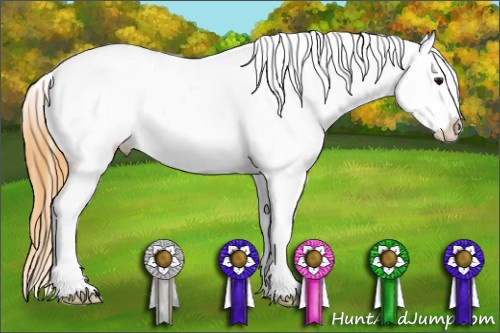 Horse Color: Buckskin Snowcap Rabicano 