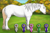 Horse Color:Buckskin Snowcap Rabicano 