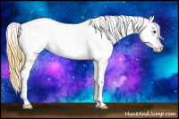 Horse Color:Buckskin Roan Dun Appaloosa 