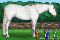 Horse Color:White Spotted Silver Brown