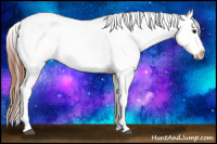 Horse Color:White Spotted Brown Roan Appaloosa 