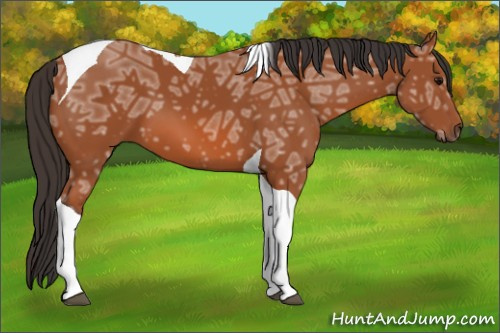 Horse Color: Bay Ice Tobiano 