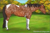 Horse Color:Bay Ice Tobiano 