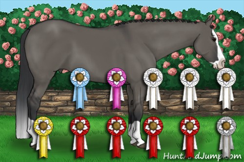 Horse Color: Brown Dun Splash 