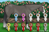 Horse Color:Brown Dun Splash 