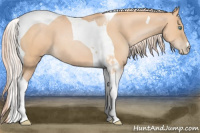 Horse Color:Chocolate Palomino Pearl Tobiano 