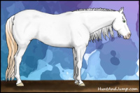 Horse Color:White Spotted Amber Cream Champagne Ice Roan Appaloosa 