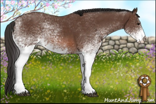 Horse Color: White Spotted Bay 