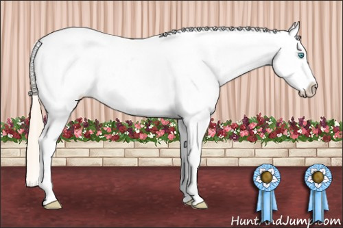 Horse Color: White Spotted Perlino Blanket 