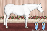 Horse Color:White Spotted Perlino Appaloosa 