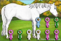 Horse Color:Cremello Splash Varnish 
