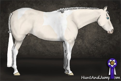 Horse Color: Silver Perlino Dun Tobiano 