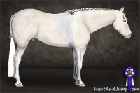 Horse Color:Silver Perlino Dun Tobiano 