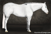 Horse Color:Perlino Tobiano