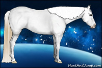Horse Color:Buckskin Ice Appaloosa 