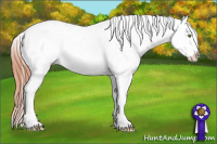 Horse Color:Amber Champagne Dun Varnish 