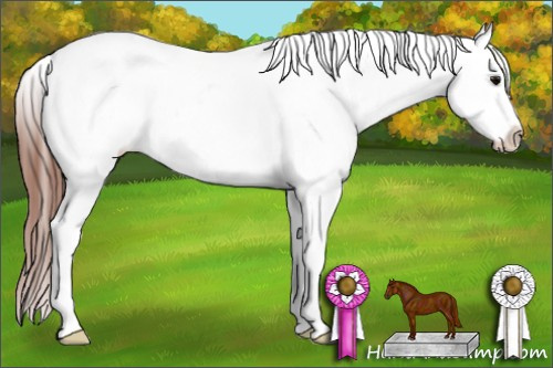 Horse Color: White Spotted Brown Frame Blanket Rabicano 