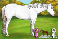 Horse Color:White Spotted Brown Frame Appaloosa Rabicano 