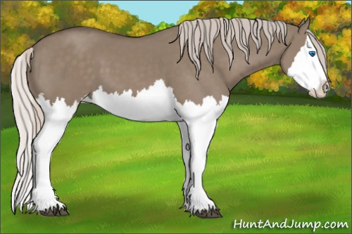 Horse Color: Silver Grullo Splash 