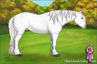 Horse Color:Silver Brown Splash Appaloosa 