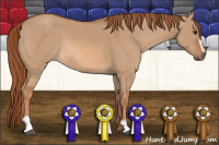 Horse Color:Red Dun Sabino Rabicano