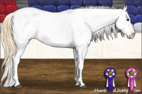 Horse Color:Smoky Grullo Appaloosa 