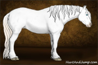 Horse Color:Perlino Dun Tobiano Blanket 