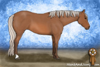 Horse Color:Silver Bay Roan 